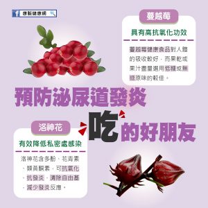 預防泌尿道發炎吃的好朋友 蔓越莓 洛神花 日明耀醫療聯合機構 預防泌尿道發炎吃的好朋友 蔓越莓 洛神花 日明耀醫療聯合機構
